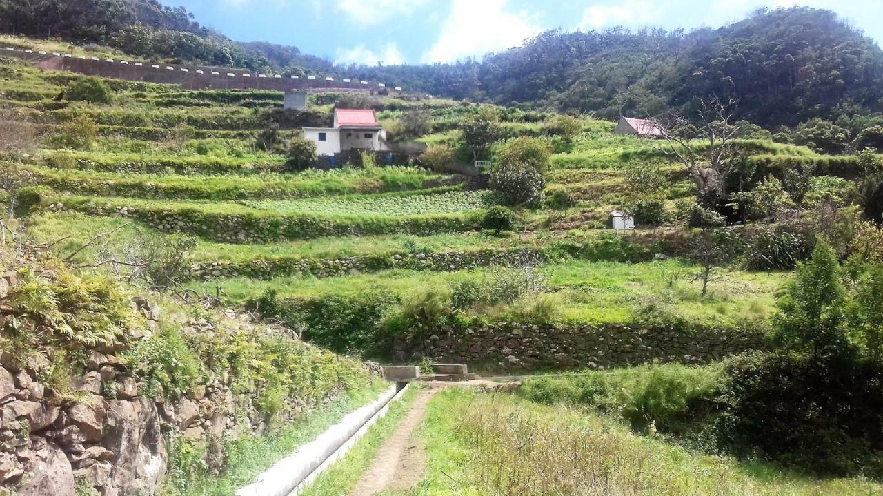 Vivenda Linda Vista Apartment Porto Da Cruz Ngoại thất bức ảnh
